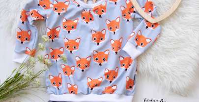 Baby Fox